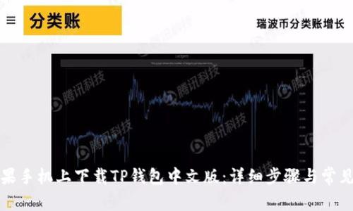 如何在苹果手机上下载TP钱包中文版：详细步骤与常见问题解答