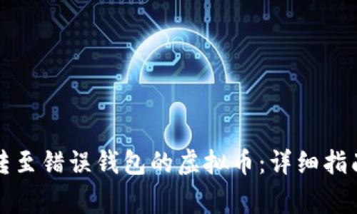 如何追回误转至错误钱包的虚拟币：详细指南与注意事项