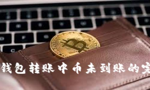 解决TP钱包转账中币未到账的完整指南