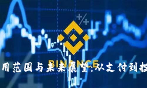 虚拟货币的应用范围与未来展望：从支付到投资的全景分析