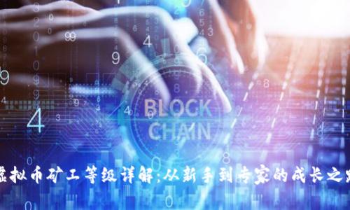 虚拟币矿工等级详解：从新手到专家的成长之路