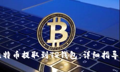 中本聪如何将比特币提取到TP钱包：详细指导与常见问题解答
