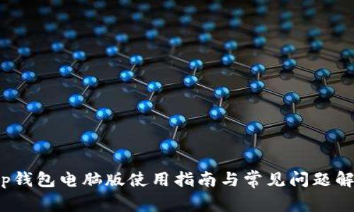 t p钱包电脑版使用指南与常见问题解答