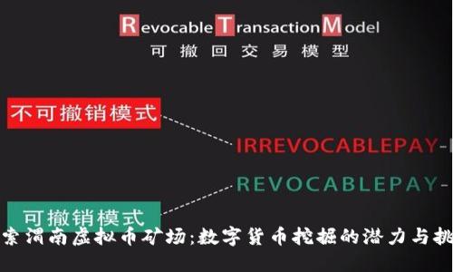 探索渭南虚拟币矿场：数字货币挖掘的潜力与挑战
