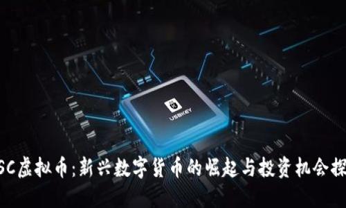 MSC虚拟币：新兴数字货币的崛起与投资机会探讨