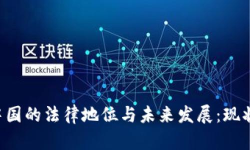 虚拟货币在中国的法律地位与未来发展：现状、挑战与机遇