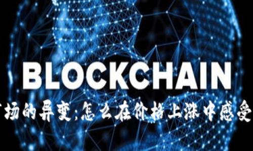 虚拟货币市场的异变：怎么在价格上涨中感受到财富缩水