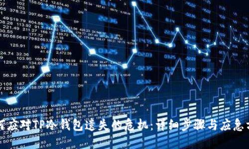 如何应对TP冷钱包遗失的危机：详细步骤与应急方案