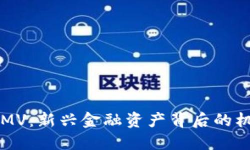 虚拟货币MV：新兴金融资产背后的机遇与挑战