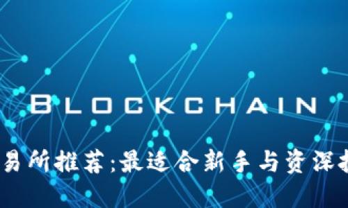 2023年虚拟币交易所推荐：最适合新手与资深投资者的平台比较