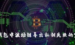 解决TP钱包中波场链导出私