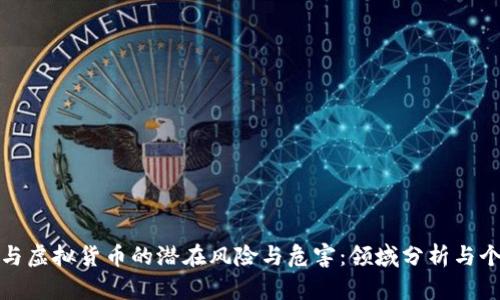 比特币与虚拟货币的潜在风险与危害：领域分析与个人借鉴