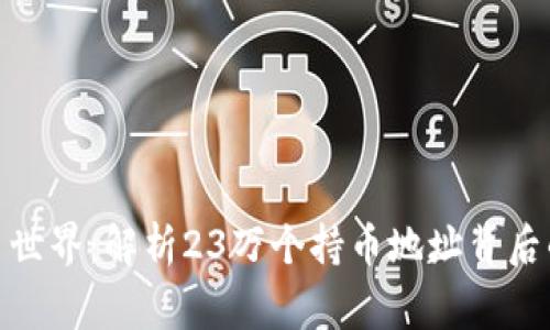 探索虚拟货币世界：解析23万个持币地址背后的故事与意义