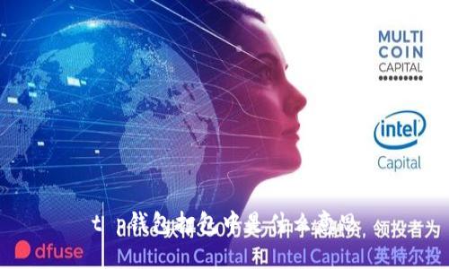 t p钱包打包中是什么意思