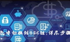如何在TP钱包中切换到BS