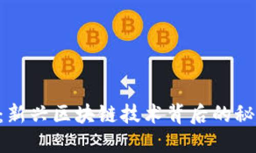 Ghost虚拟币：新兴区块链技术背后的秘密与投资潜力