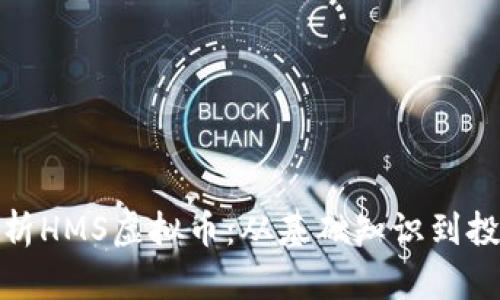 全面解析HMS虚拟币：从基础知识到投资策略
