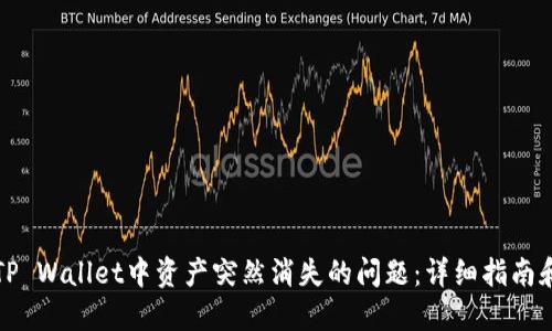 如何应对TP Wallet中资产突然消失的问题：详细指南和解决方案
