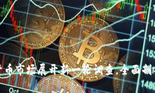 央视对虚拟货币市场展开新一轮调查，全面剖析风险与现状
