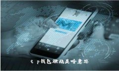 t p钱包燃烧是啥意思