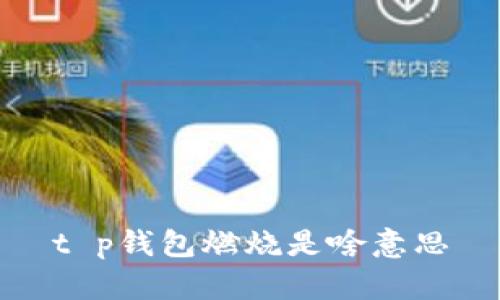 t p钱包燃烧是啥意思