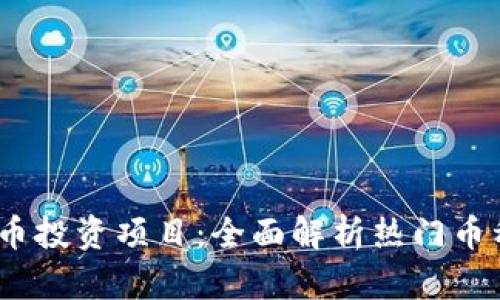 2017年虚拟币投资项目：全面解析热门币种与投资机遇
