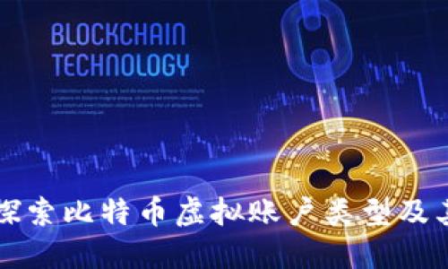 深入探索比特币虚拟账户类型及其功能
