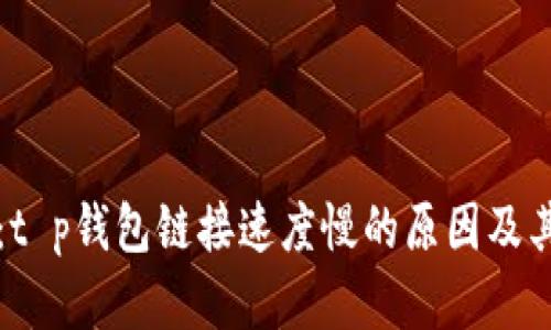 深度解析：t p钱包链接速度慢的原因及其解决方案