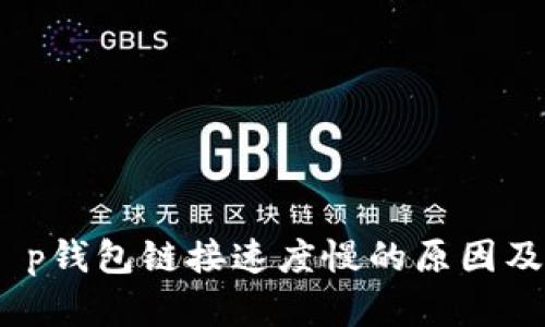 深度解析：t p钱包链接速度慢的原因及其解决方案