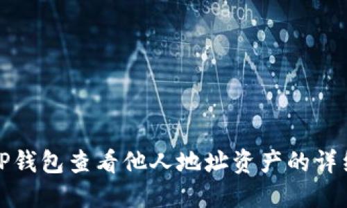 使用TP钱包查看他人地址资产的详细指南