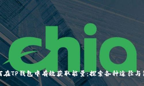 如何在TP钱包中有效获取能量：探索各种途径与策略