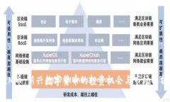 RM币：新兴数字货币的投资