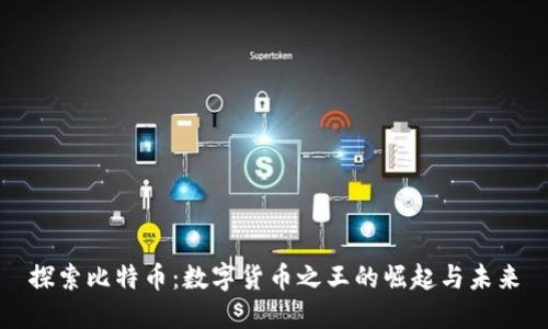 探索比特币：数字货币之王的崛起与未来