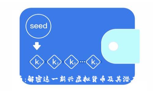 Dock币：解密这一新兴虚拟货币及其潜在影响