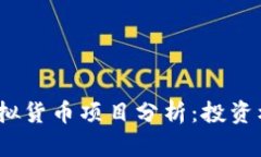 2023年最新虚拟货币项目分