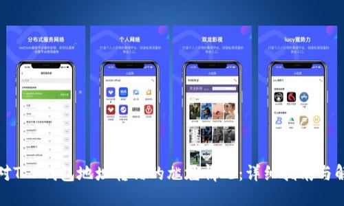 如何应对T P钱包地址转错的尴尬情况：详细指南与解决方案