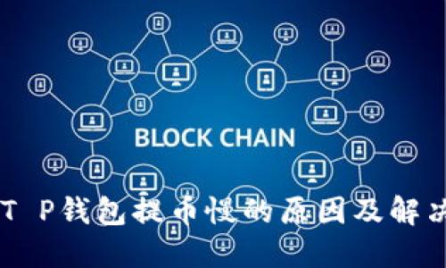 了解T P钱包提币慢的原因及解决方法