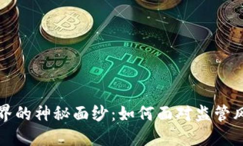 揭开虚拟币世界的神秘面纱：如何面对监管风暴与抓捕行动