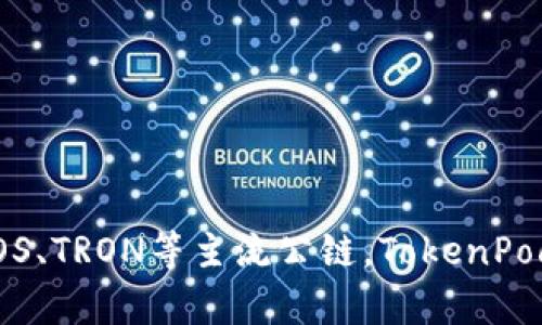 TP钱包的别名是“TokenPocket”。它是一个去中心化的数字资产钱包，支持多种区块链资产的管理与交易，包括以太坊、EOS、TRON等主流公链。TokenPocket不仅提供安全的资产存储功能，还允许用户通过内置的去中心化应用（DApp）进行交易、游戏和其他区块链相关活动。