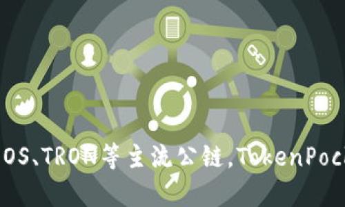 TP钱包的别名是“TokenPocket”。它是一个去中心化的数字资产钱包，支持多种区块链资产的管理与交易，包括以太坊、EOS、TRON等主流公链。TokenPocket不仅提供安全的资产存储功能，还允许用户通过内置的去中心化应用（DApp）进行交易、游戏和其他区块链相关活动。